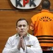 KPK Didesak Periksa Firli Bahuri soal Korupsi Pengadaan Sapi di Kementan