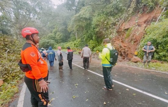 Terdera Hujan, Pohon Tumbang Kunci Jalur Arah Pendakian Cemoro Sewu
