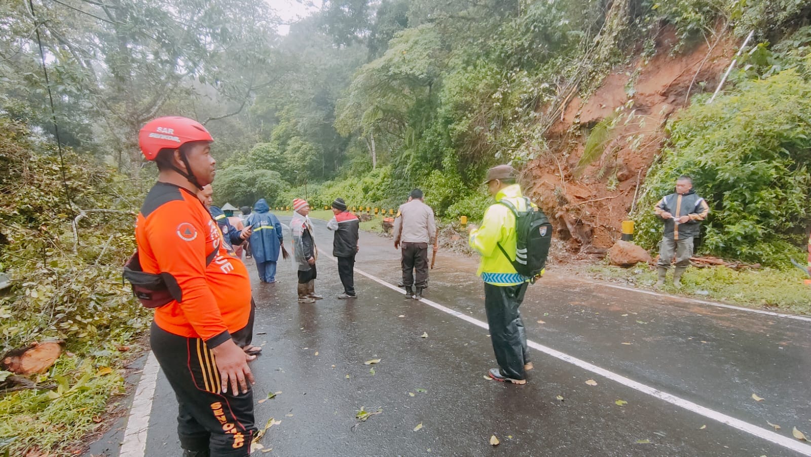Terdera Hujan, Pohon Tumbang Kunci Jalur Arah Pendakian Cemoro Sewu